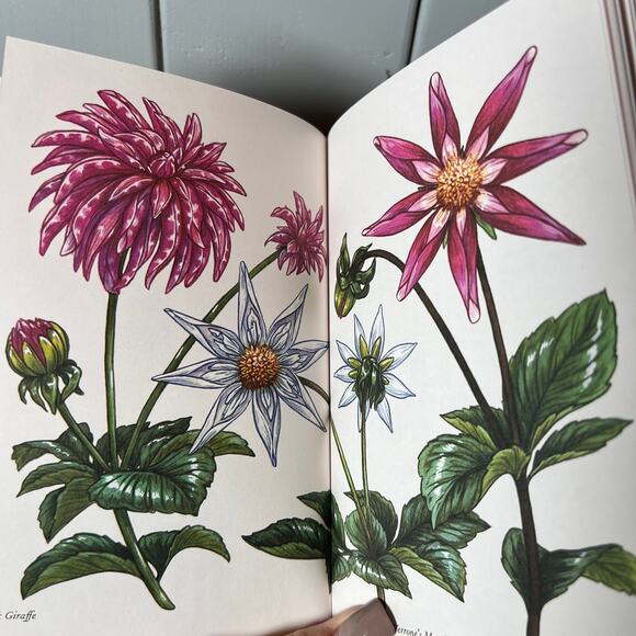 Dahlias‎ a Little Book of Flowers - Tara Austen Weaver - Picture 5 of 7